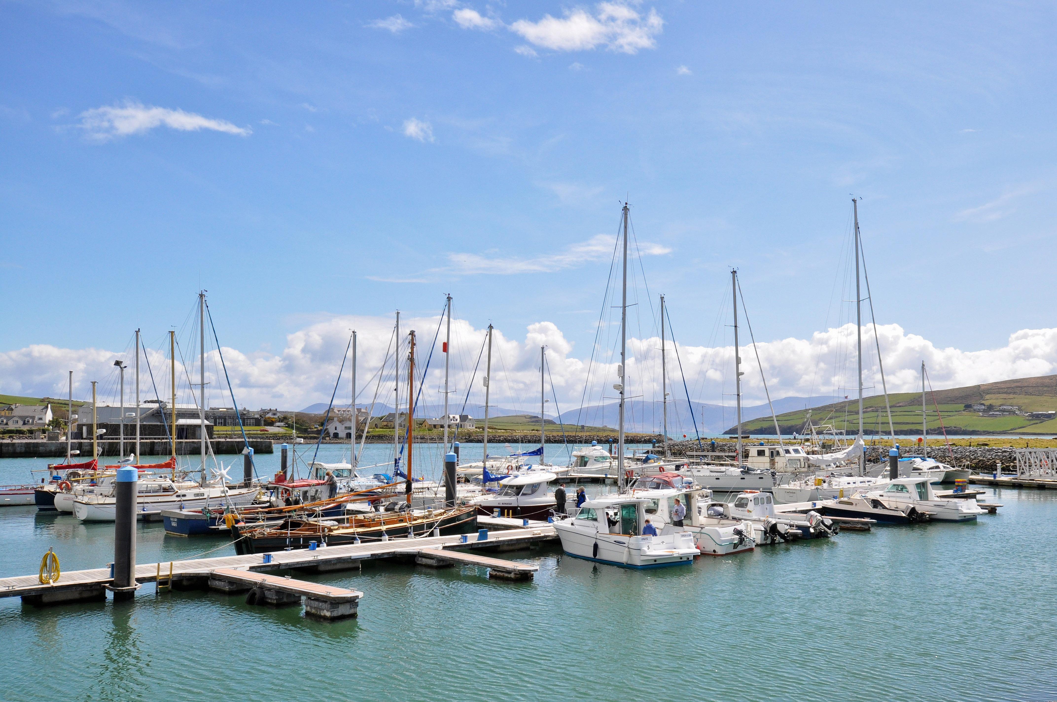 Dingle Harbour Lodge B&B Eksteriør bilde